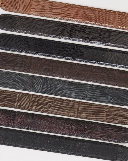 Lizard Belts